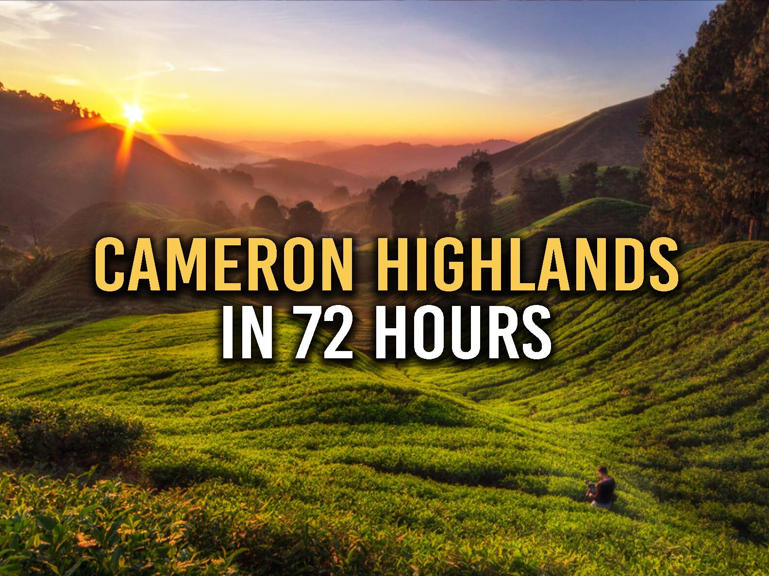 3d2n cameron highlands tour package