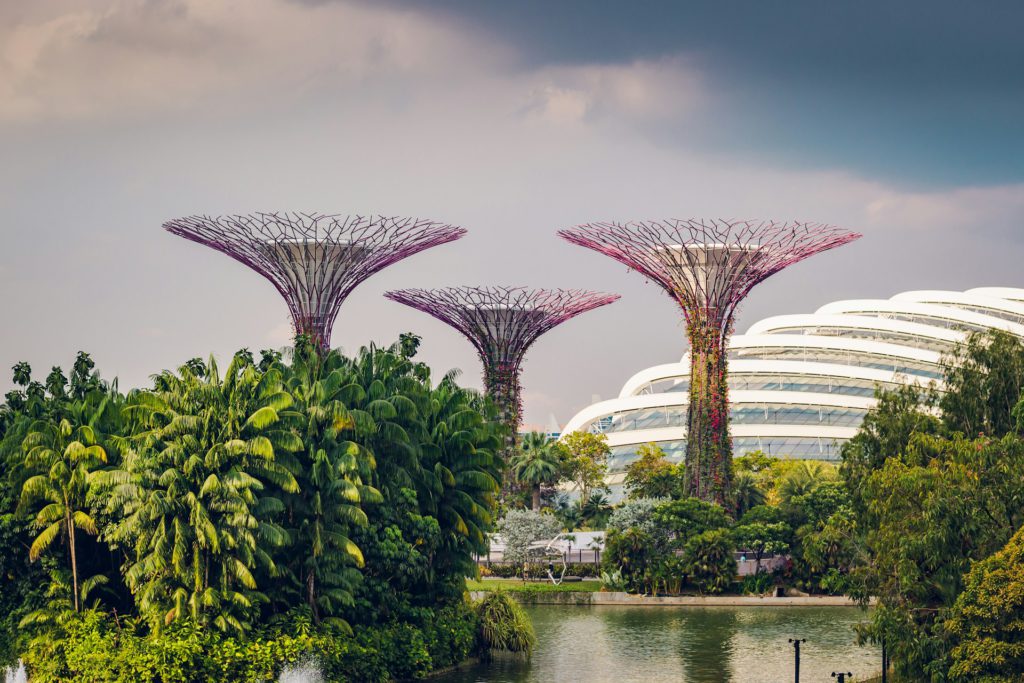 Gardens by the Bay, Singapore