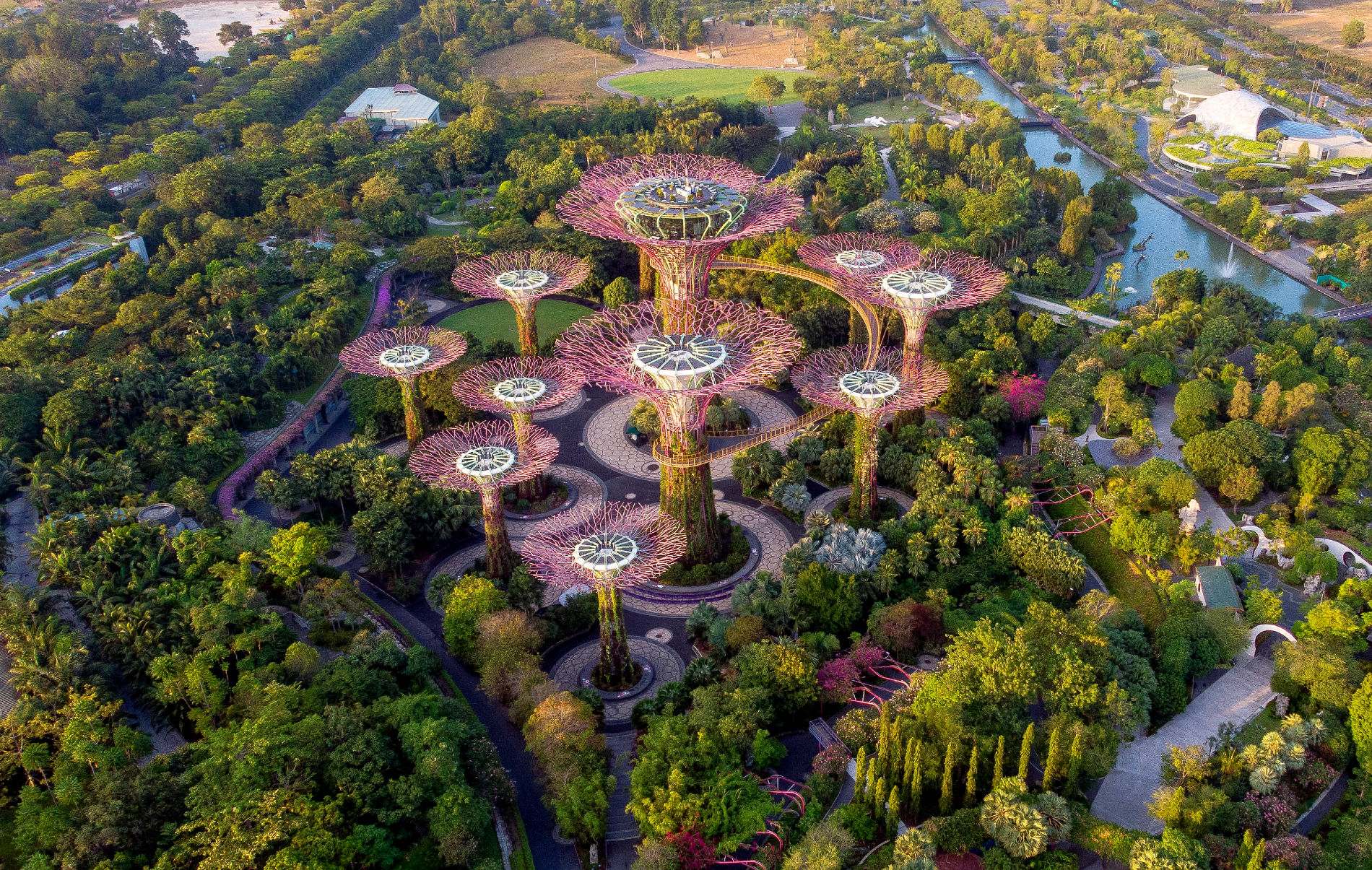 Is it safe to travel to Singapore? — New COVID19 protocols