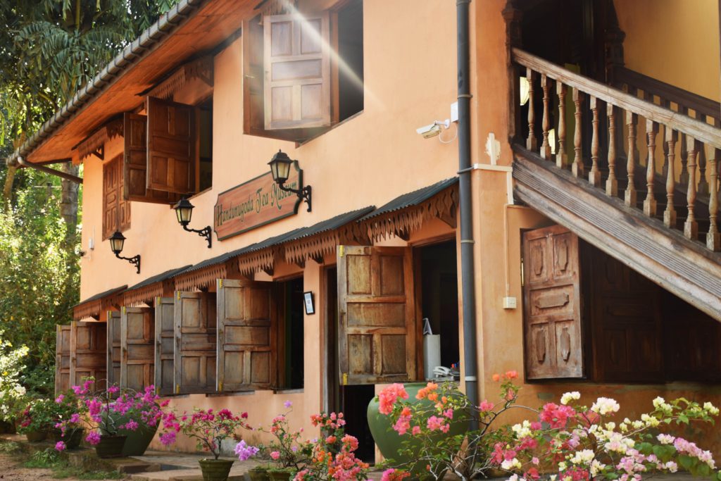 White Tea Plantation