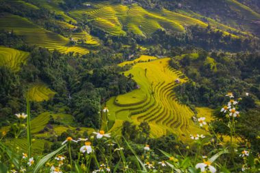 Hillside for trekking in Vietnam