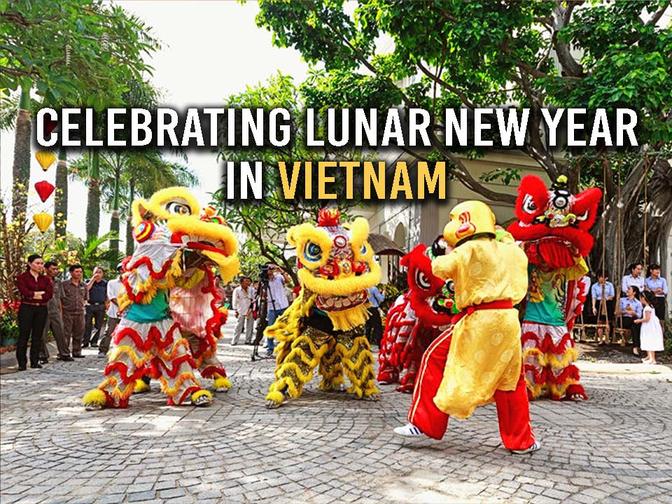 vietnamese new year essay