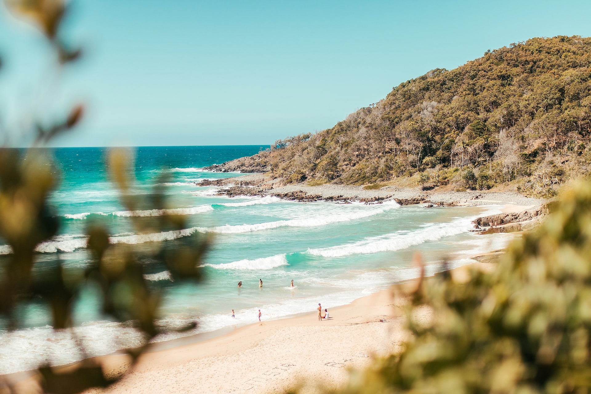 Sunshine Coast Lightning