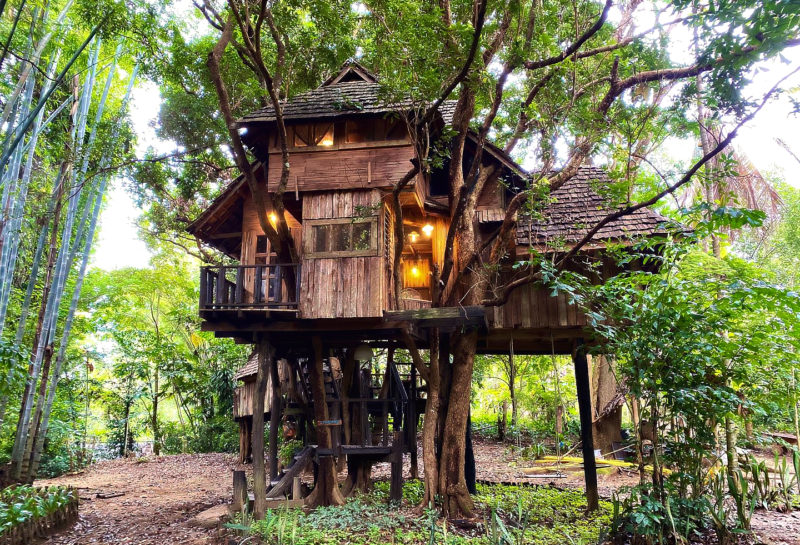 Best treehouse villas in Chiang Mai