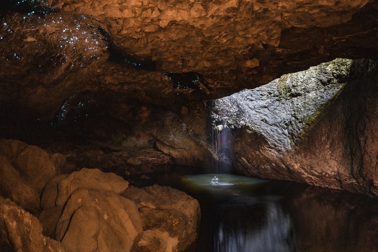 5 glow worm caves you must explore in New Zealand