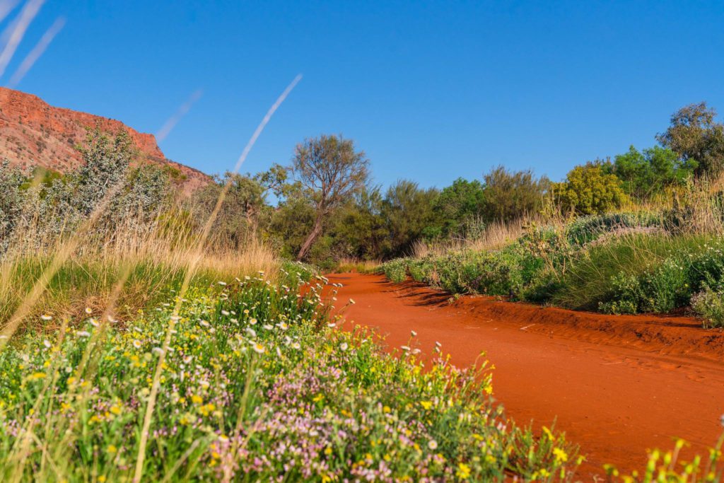 Sand country zone in Alice Springs Desert Park