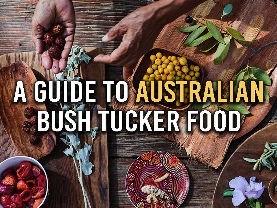 Kirkegård Har råd til tro Australian bush tucker guide: 10 traditional Aboriginal food