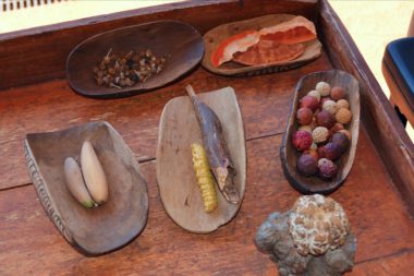 Australian bush tucker