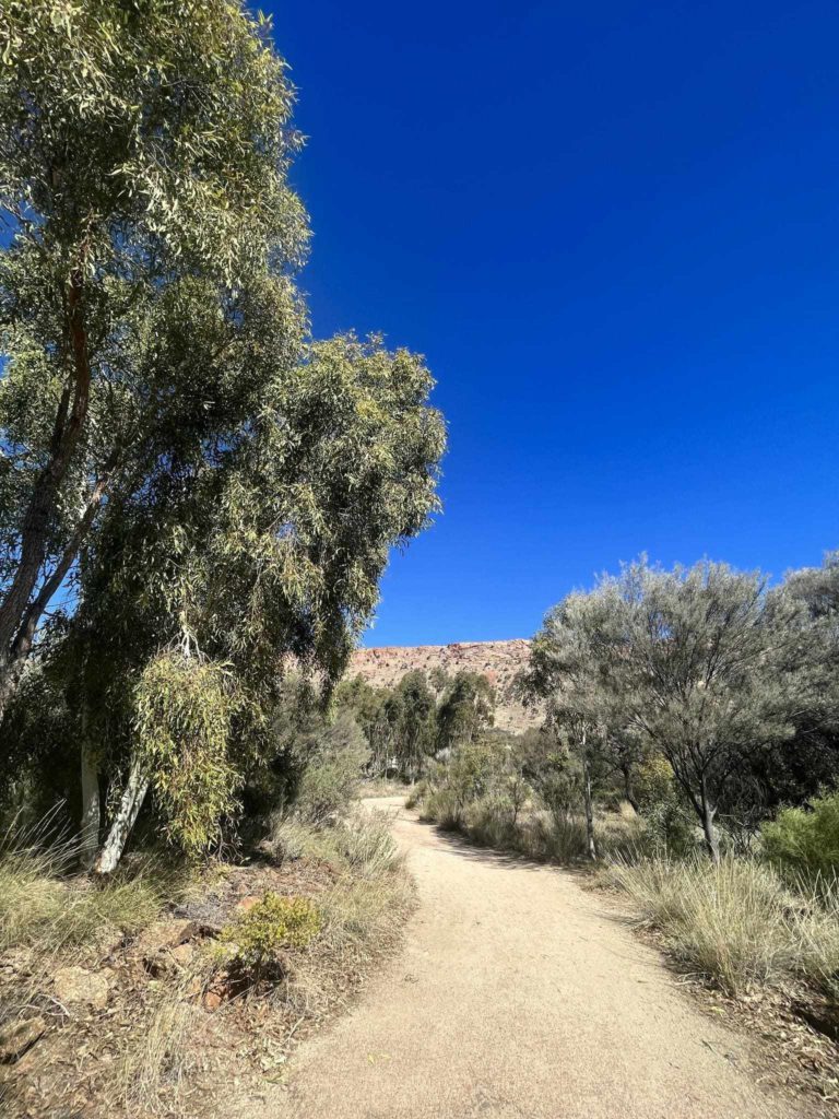 Lush woodland region in Alice Springs Desert Park
