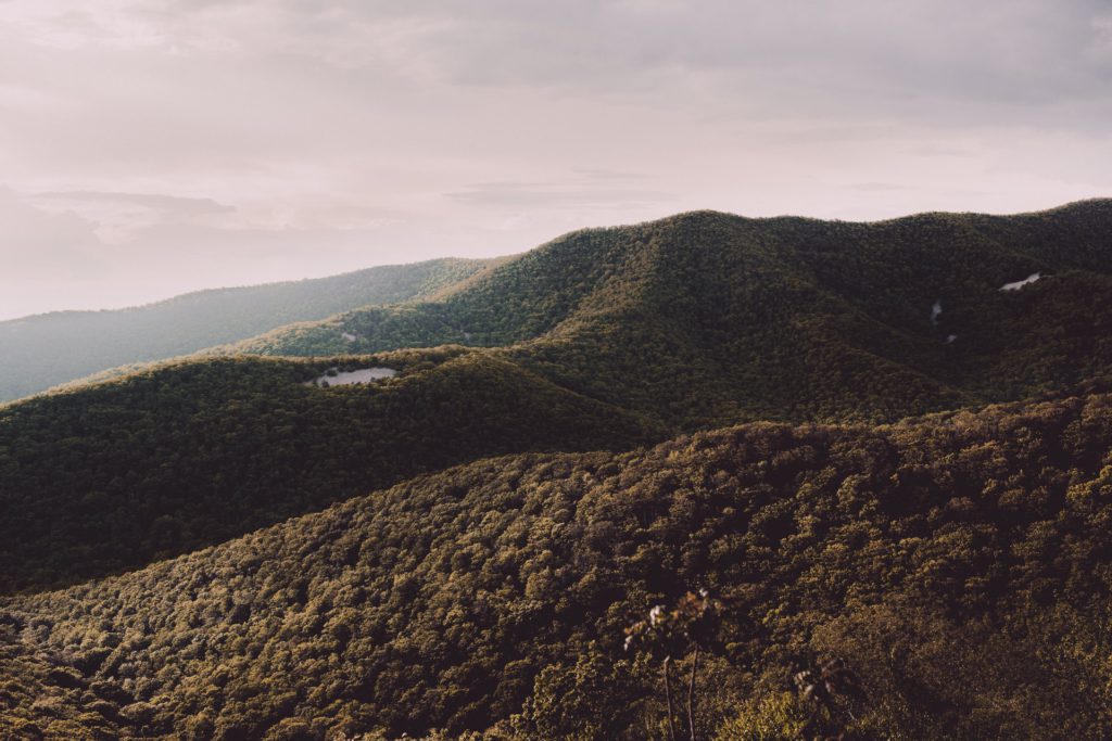 Shenandoah