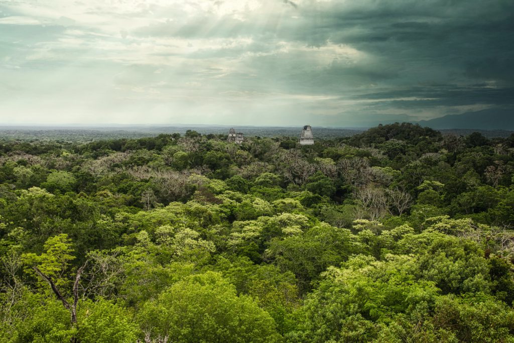 Go deep into the Mayan Biosphere Reserve