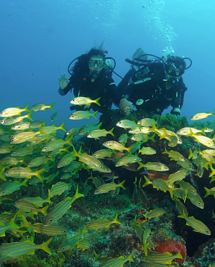 Go diving at the laid-back paradise island of Ilha Grande