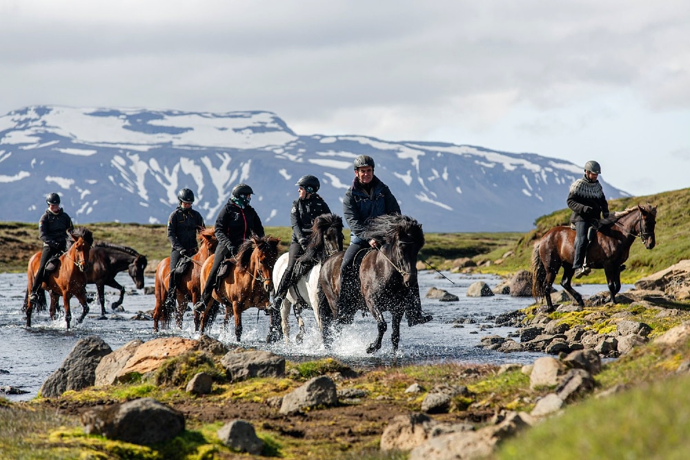 Ride Icelandic horses across incredible landscapes