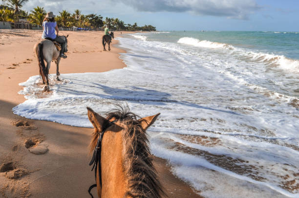 Ride a horse across the marvelous beaches of Bahia