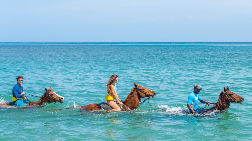 Go on a ride-and-swim horseback adventure