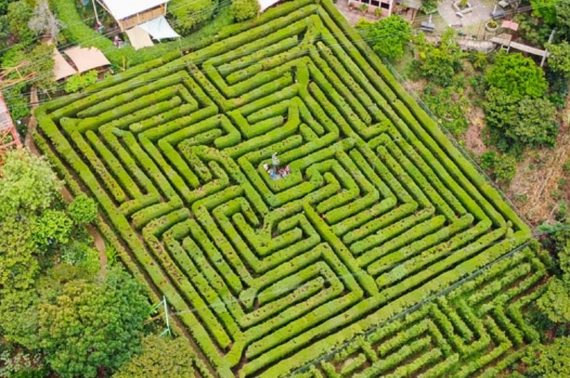 Find your way out of the largest maze in El Salvador