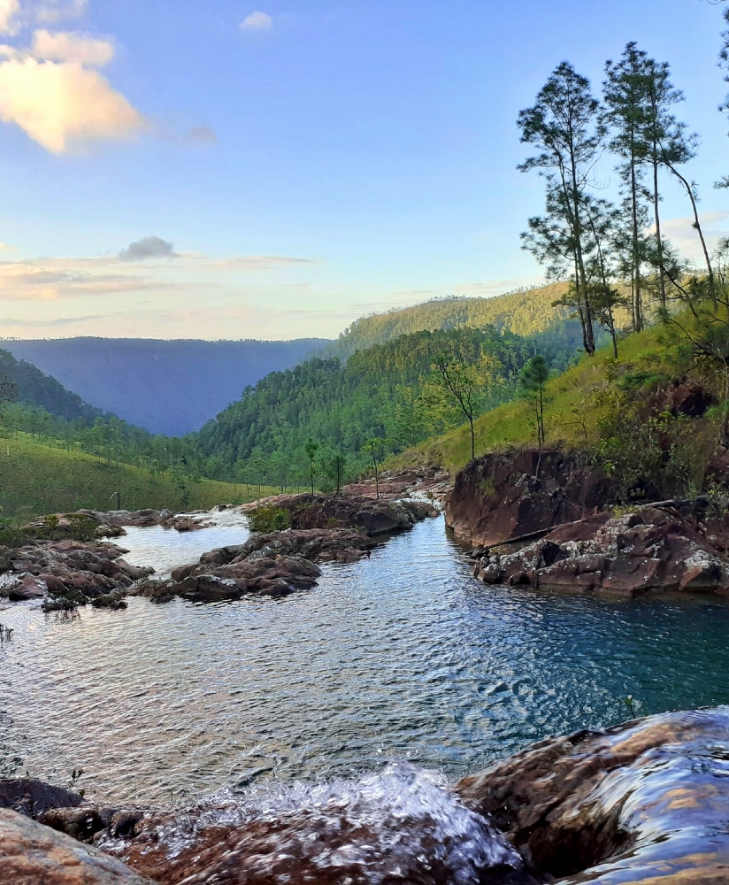 Find adventure at the Mountain Pine Ridge Forest Reserve