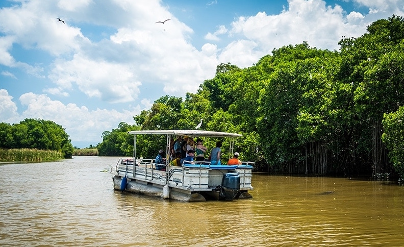 Go on a Black River safari cruise to see crocodiles