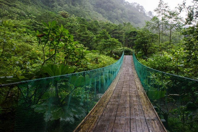 Mistico Hanging Bridges