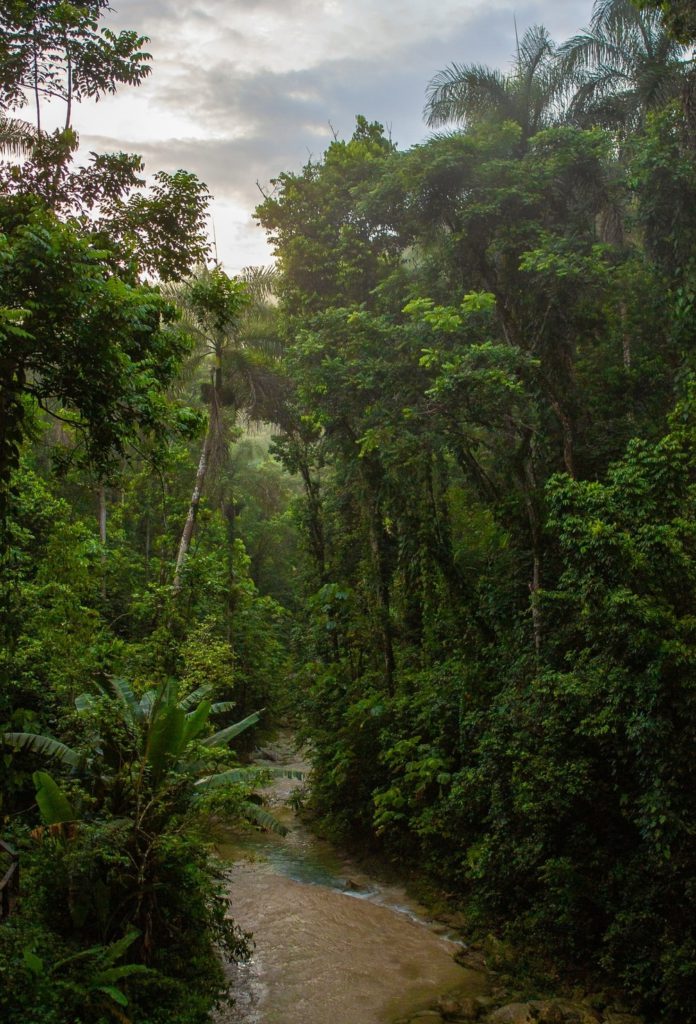 El Yunque National Forest