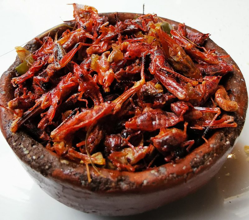 Image of chapulines — strange Mexican foods