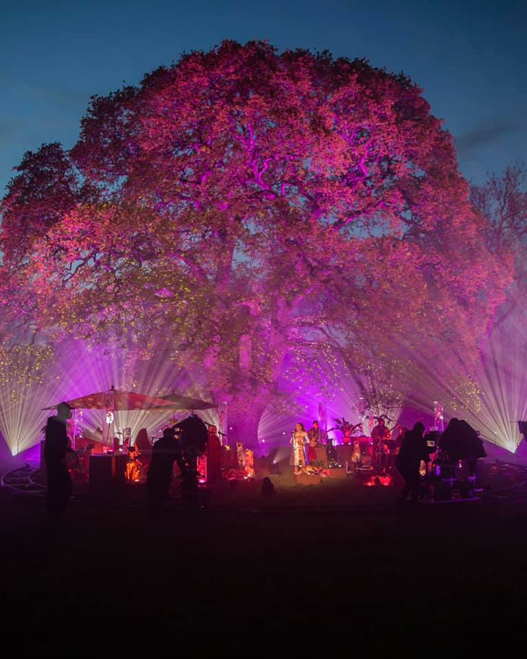 Glastonbury Music Festival