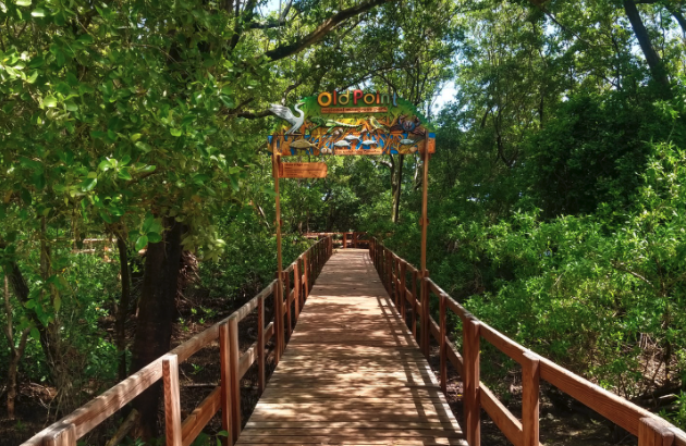 Old Point Mangrove Park, San Andres