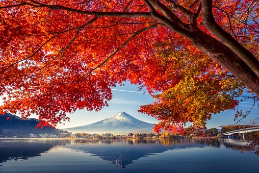 See the most incredible fall colors at Lake Kawaguchi
