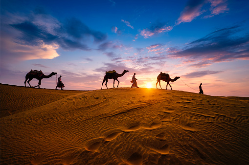 Enjoy a camel safari in the deserts of Rajasthan