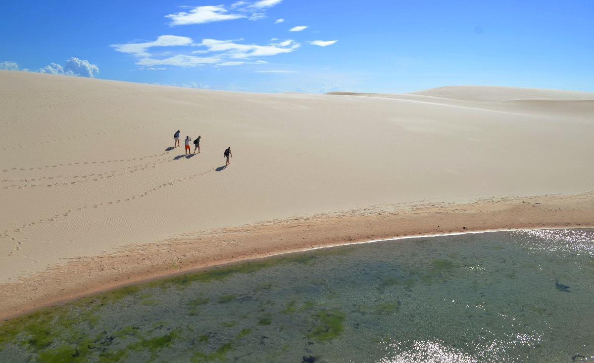 Best Brazilian national parks: From Iguaçu to Tijuca & more!