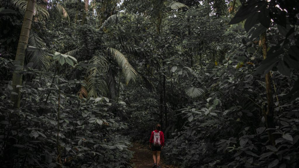 Arenal Volcano National Park, Costa Rica