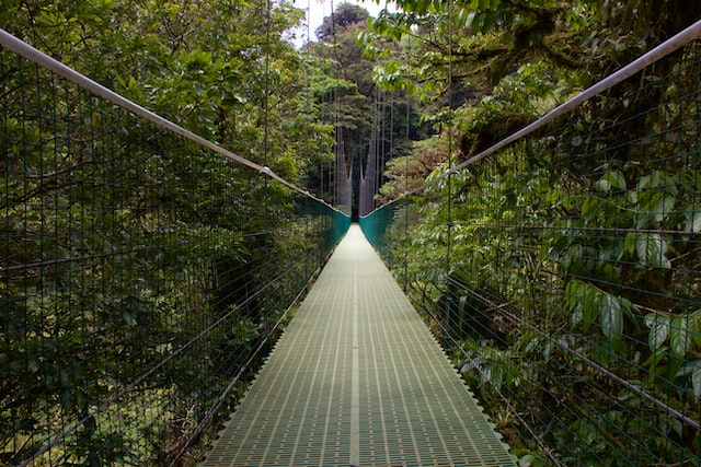 Hanging bridges in Monteverde