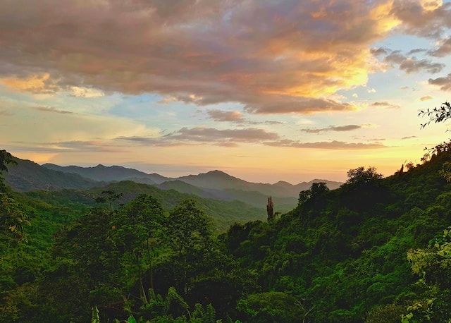 Minca, Santa Marta, Colombia