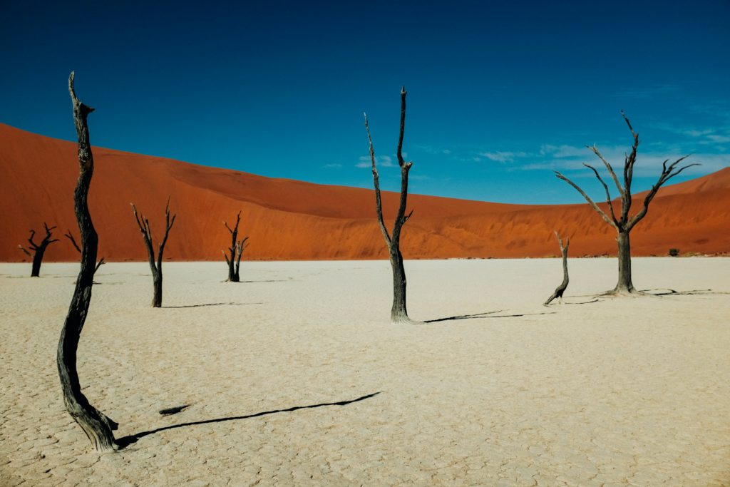 Sossusvlei Dunes, Namibia