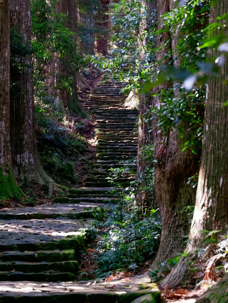 Daimon-zaka steps, Kumano Kodo