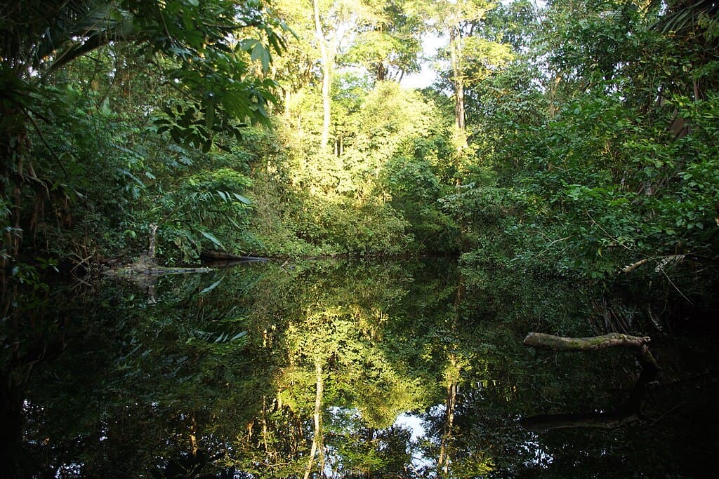 Corcovado National Park
