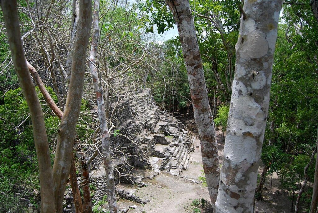 Mayan temples of El Mirador
