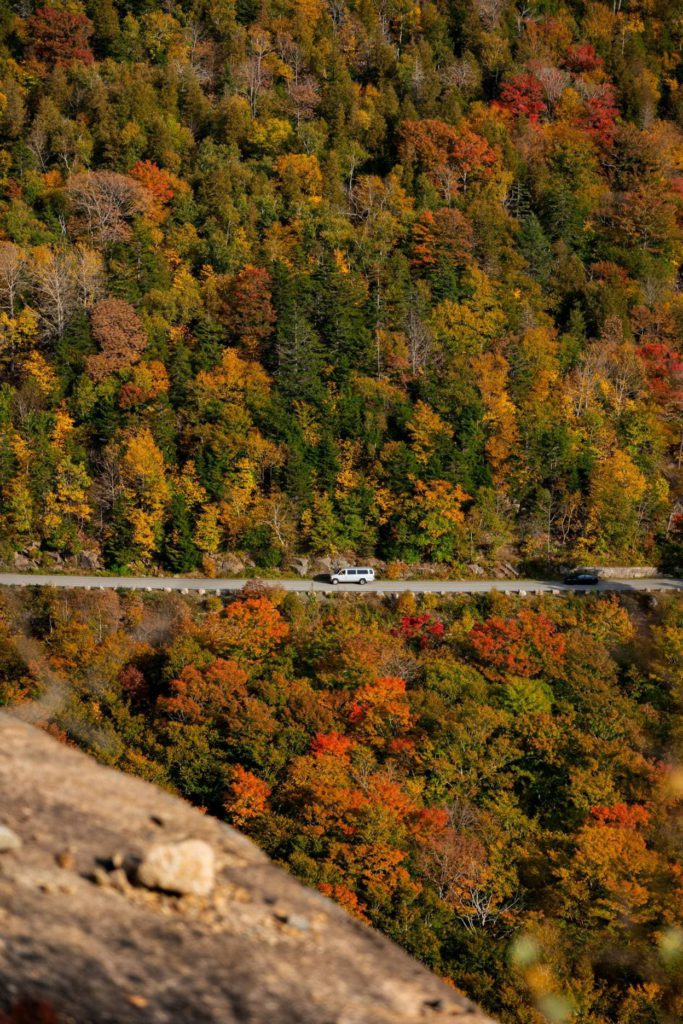 Best fall colors in Acadia National Park