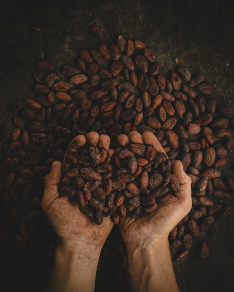 Cacao beans for cacao ceremony