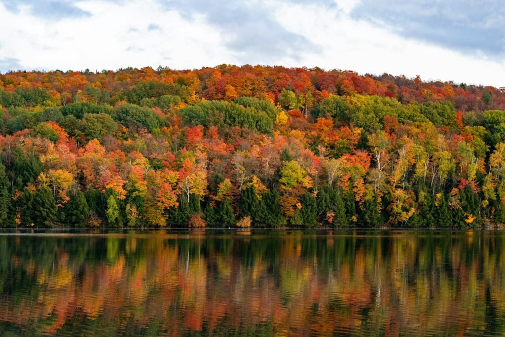 Best fall foliage in the US