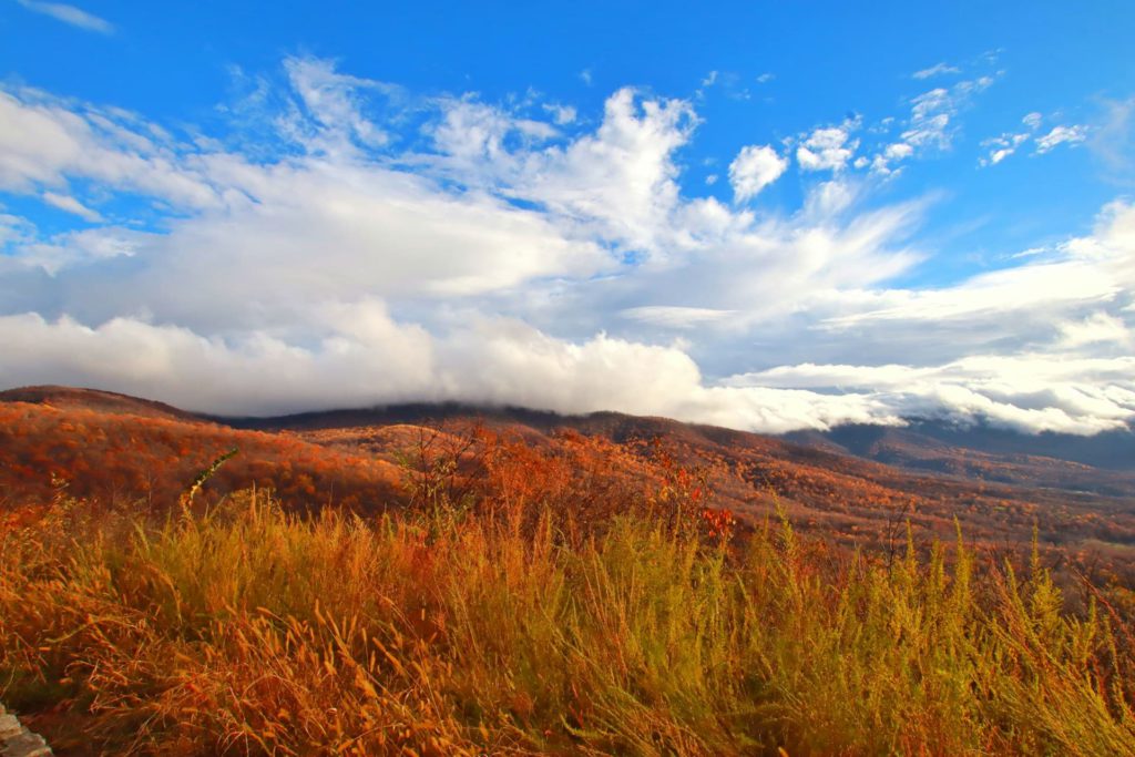 Skyline Drive, Shenandoah National Park