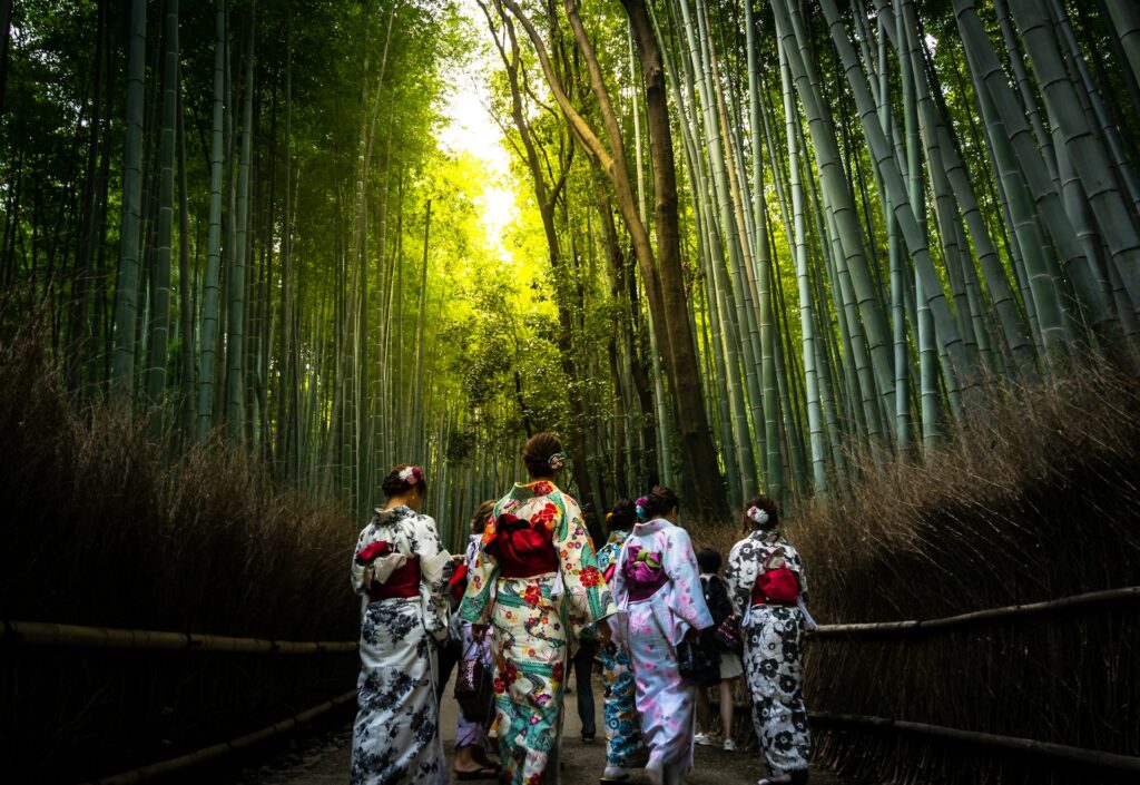 Arashiyama Bamboo Forest in Japan