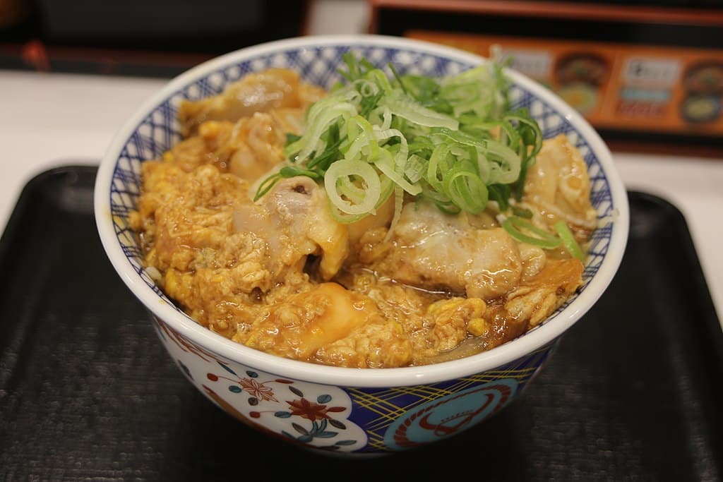 Oyakodon - Japanese food