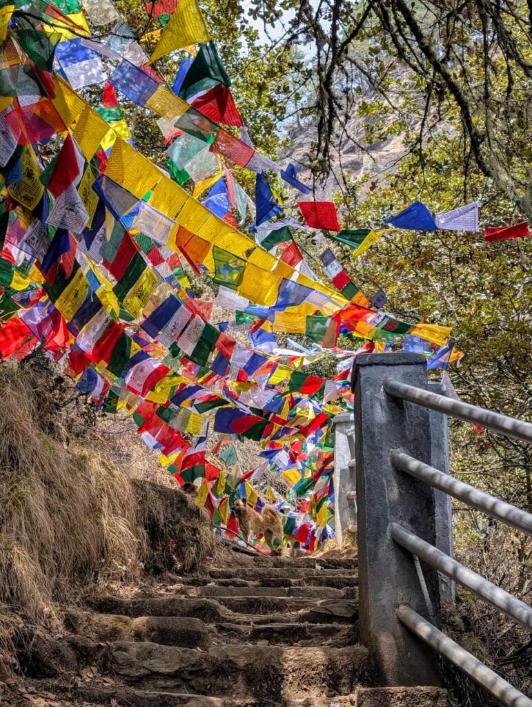 Things to do in Bhutan - Tiger's Nest trail