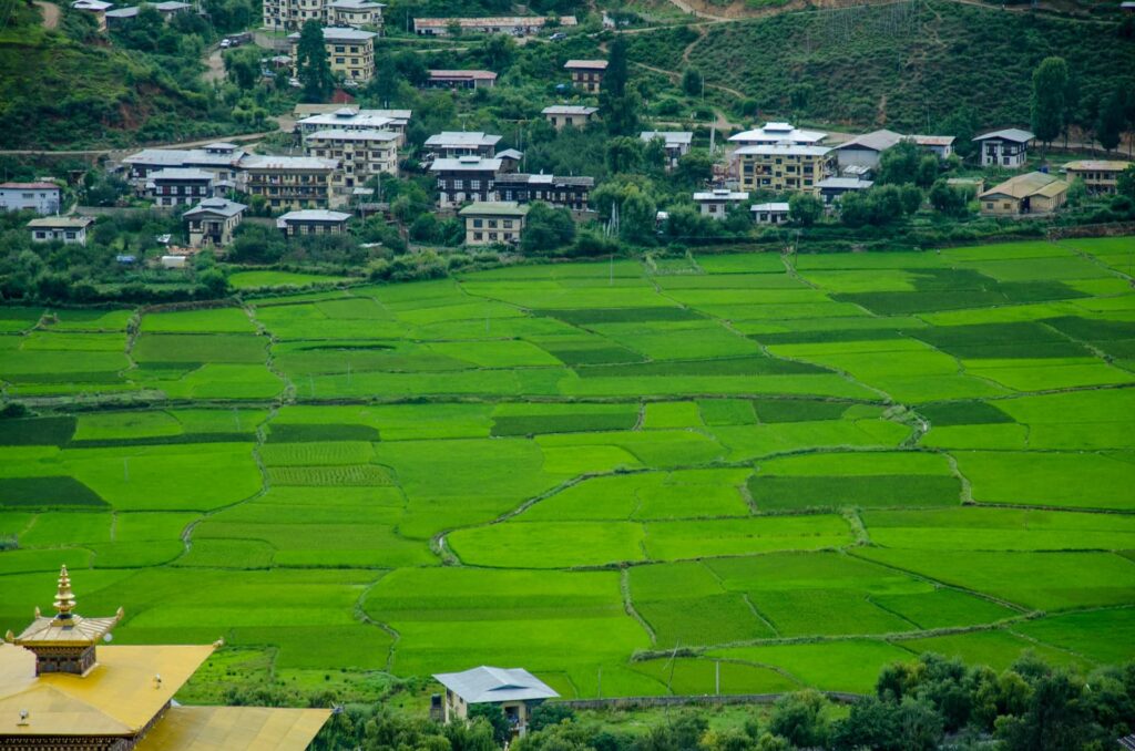 Agriculture in Bhutan