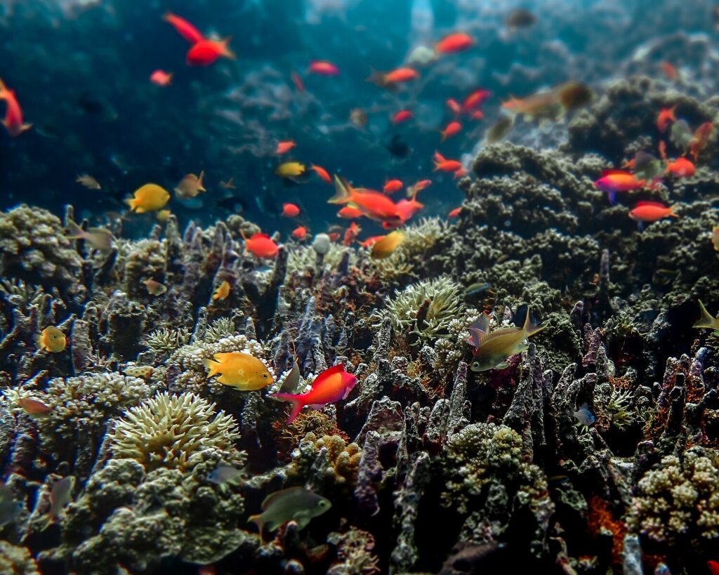 West Bali National Park